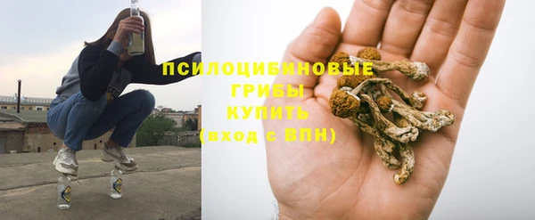 сатива Баксан