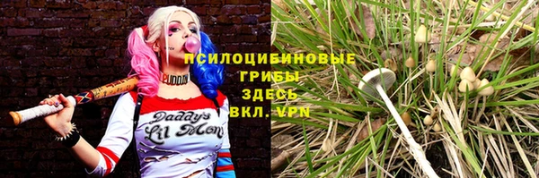 сатива Баксан