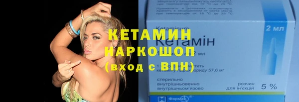 сатива Баксан