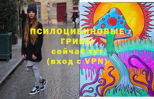 сатива Баксан