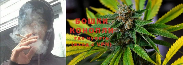 сатива Баксан