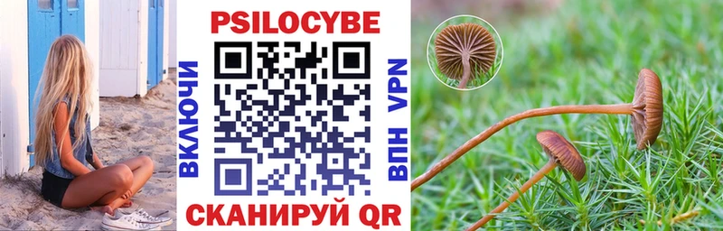 Галлюциногенные грибы прущие грибы  Верхний Тагил 